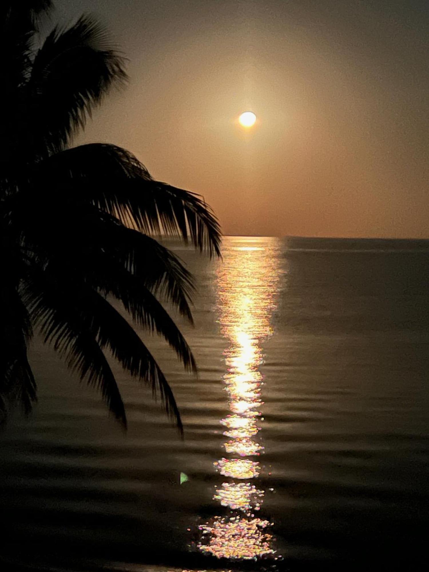 Bella Sway Belize Villa Maya Beach Eksteriør billede